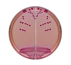 Thermo Scientific™ Yersinia-Agar/Yersinia-Agar, Doppelplatte